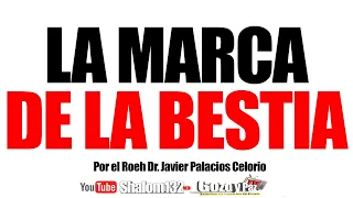 🔴SHALOM132: LA MARCA DE LA BESTIA ¡URGENTE!!! - Roeh Dr. Javier Palacios Celorio ¡MUY IMPORTANTE!