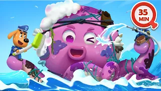 🐙 Con bạch tuộc khổng lồ 🌴 Labrador bảo vệ môi trường biển 🚨 👮 Cảnh sát trưởng Labrador Vietnam🚔