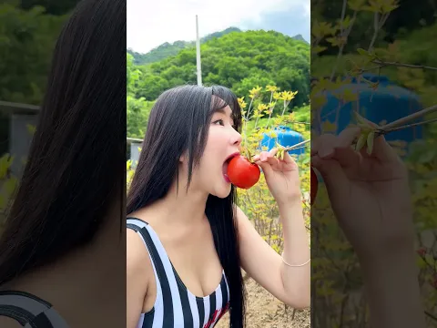 과즙이 한가득
