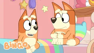 Mini Bluey | Episodio completo | Bingo - Español Canal Oficial
