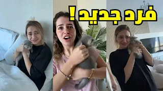 فرد جديد بعيلتنا !😍🐈 لانا ولين محمد ومصطفى 🫶❤️