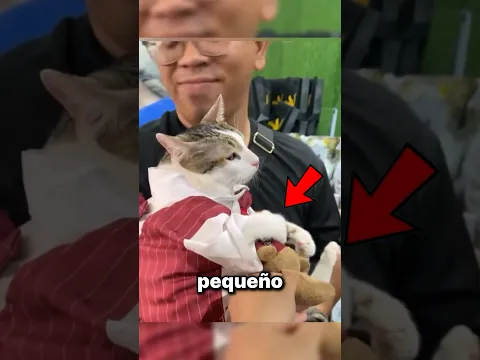 El Juguete Que Recordaba A Su Mamá Y Nunca Quería Soltar 🧸💔