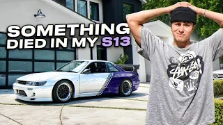 Something DIED In My S13 🤢