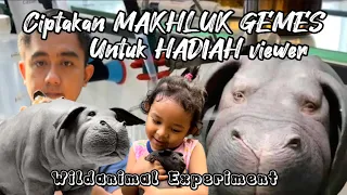 Kirim Makhluk UNIK gemes untuk hadiah viewer