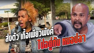 จบกันที ส่งตัวเกื้อเพียวพังค์ไปบำบัดอยู่กับหมอปลา