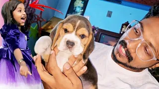 Paathu's Best birthday gift 🎁 ever ⭐ #vlogstar #vlogstarvishnu