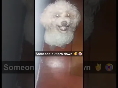 RIP My Granny Acapella ✌️😭💣🗣️