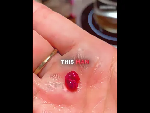 This Man RAISED a Tiny Sugar Glider 🦉❤️ #shorts