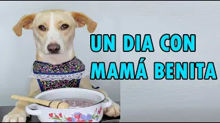 Un día con mamá Benita
