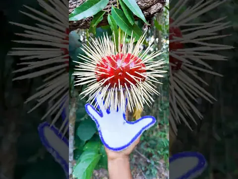 Safety Hand Gloves for Survival in the Forest