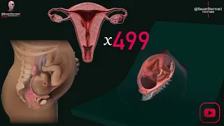 10 Amazing Information About the Uterus 🔥🦇