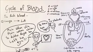 Life Processes - ep03 - BKP | Class 10 biology science ncert cbse boards full explanation in hindi