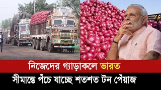 বাংলাদেশ সীমান্তে পঁচে যাচ্ছে ভারতের শতশত টন পেঁয়াজ !! Indian onion || Bangladesh