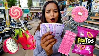 24 Hours Pink Food Challenge || 100 Rs Food Challenge for 24 hours || Atrangi Vishi