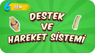 6. Sınıf Fen: Destek ve Hareket Sistemi  #2022