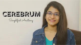 CEREBRUM | ANATOMY | SIMPLIFIED