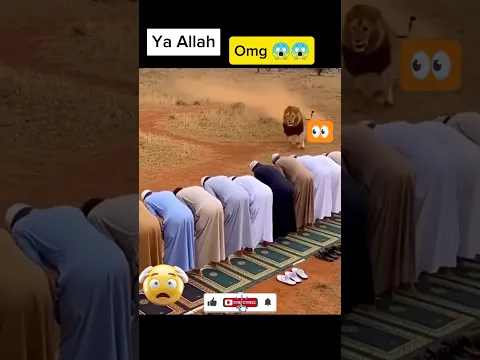MashAllah 💪🕋♥️ Respect.#shorts #allah #muhammad #mecca #madina #moosatv #masjid #Masmediainfo