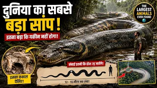 दुनिया का सबसे बड़ा सांप | The largest animals ever found on earth