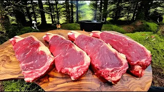 ستيك فرايز فى قلب الغابة: النتيجة صادمة (طبخ ASMR)