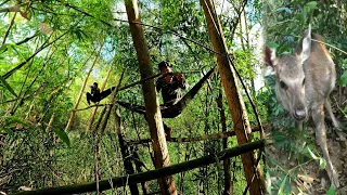 นั่งห้างในป่าส่องสัตว์ป่า