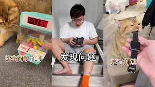 【PuPu噗噗】你还在为早上起不来床而困扰吗？#猫咪 #猫咪日常 #沙雕日常