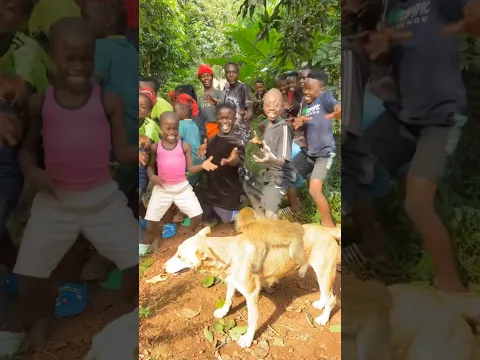 Our monkey and dog at wembly mo orphanage #fypシ #reels #viral #challenge