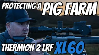 Protect the Pigs - Fox, Feral Cat, & Feral Pig Contract Shoot || Pulsar Thermion 2 LRF XL60 Scope