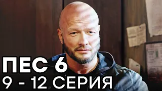 Сериал ПЕС 6 СЕЗОН - 9 - 12 серия - ВСЕ СЕРИИ ПОДРЯД | СЕРИАЛЫ ICTV