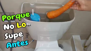 Coloca Una Zanahoria En Tu Inodoro, Te Sorprenderás.