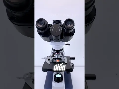 NÃO DƯỚI KÍNH HIỂN VI...