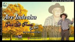 JOSÉ ALÍ NIEVES - AVE INDECISA "EN VIVO" @joelantonionarvaez