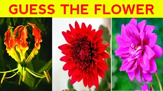 "अगर ये फूल पहचान लिया तो आपका दिमाग तेज है!" #GuessTheFlower #FlowerChallenge