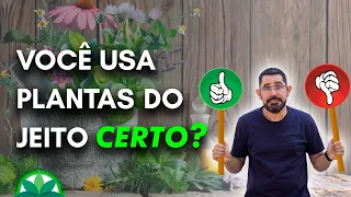 Você está usando as plantas do jeito certo?