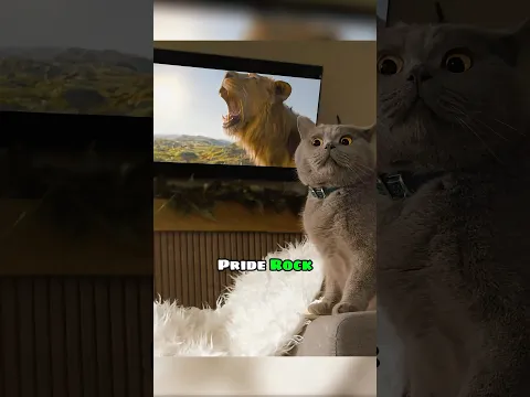 Con mèo muốn làm vua rừng xanh 😼