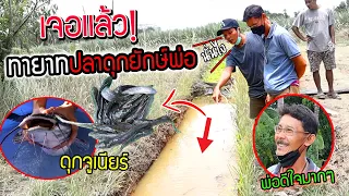ปลาดุกยักษ์พ่อมีทายาทแล้ว!!! พ่อดีใจมากๆ ไปรับดุกจิ๋วกลับบ้านเรากัน