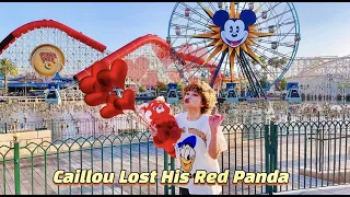 Caillou Lost His Turning Red Panda ❤️🐼 At Disneyland 🏰🎡🥹😓