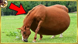 30 Baby Animal Births That Happen Only Once in a Thousand Years