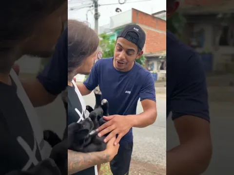 Ele só queria um lar #viralvideo
