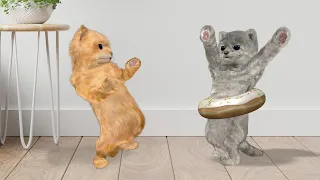 Kitten and donuts