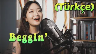 Måneskin - Beggin' (Türkçe cover by God Dyu)