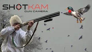 BEST Hunting moments (53 KILLS) of 2026 captured with ShotKam Gen 4