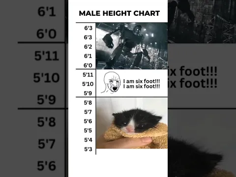 Height chart