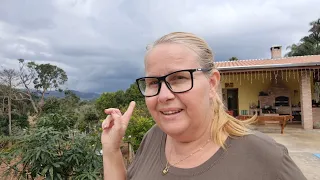OLHA  QUEM TA DEVORANDO NOSSAS BANANAS DURANTE A NOITE! COLHI UM MONTE DE FAVA#vidanaroça