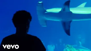 Xeno Carr - I Love Xeno (Official Video)