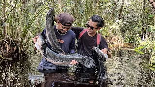 5 HARI CARI IKAN DI RAWA, HUTAN, SUNGAI & DAPAT BANYAK IKAN YANG BESAR DAN LANGKA😅 #bocahpecicilan