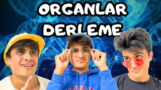 Organlar Serisi Tüm Bölümler Derleme :)