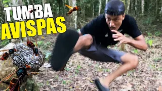 Tumba Avispas 🐝 *Me Alcanzaron A Picar* - Andrés WG