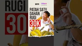 Orang Muda Jaga Durian Pakai Dron