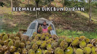 Bermalam Di Hutan Demi durian guys #adventure #minivlog #adayinmylife