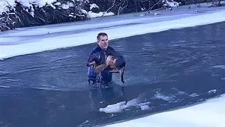 Man Jumps into Icy Lake to Rescue Drowning Dog